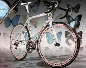 butterfly madone cycle